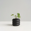 Bubble Planter - Charcoal Matte