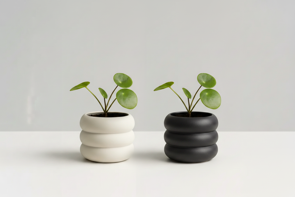 Bubble Planter - Ivory White y Charcoal juntas