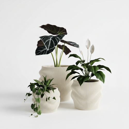 Ivory White grupo con plantas