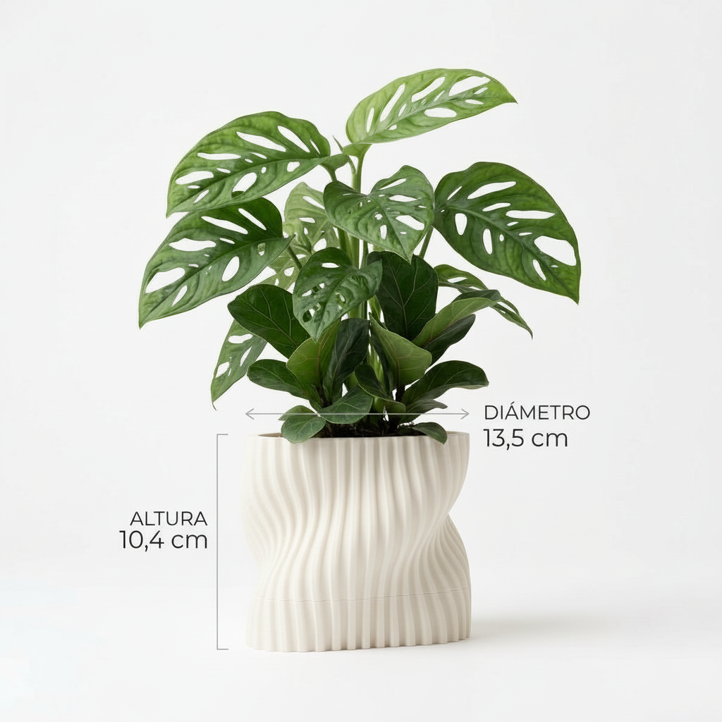 ONDA Ivory White monstera